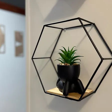 Barivm365 Appartement *